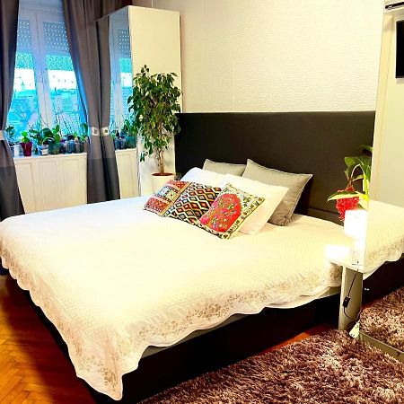 布达佩斯Margaret Bridge Cosy Flat公寓 外观 照片