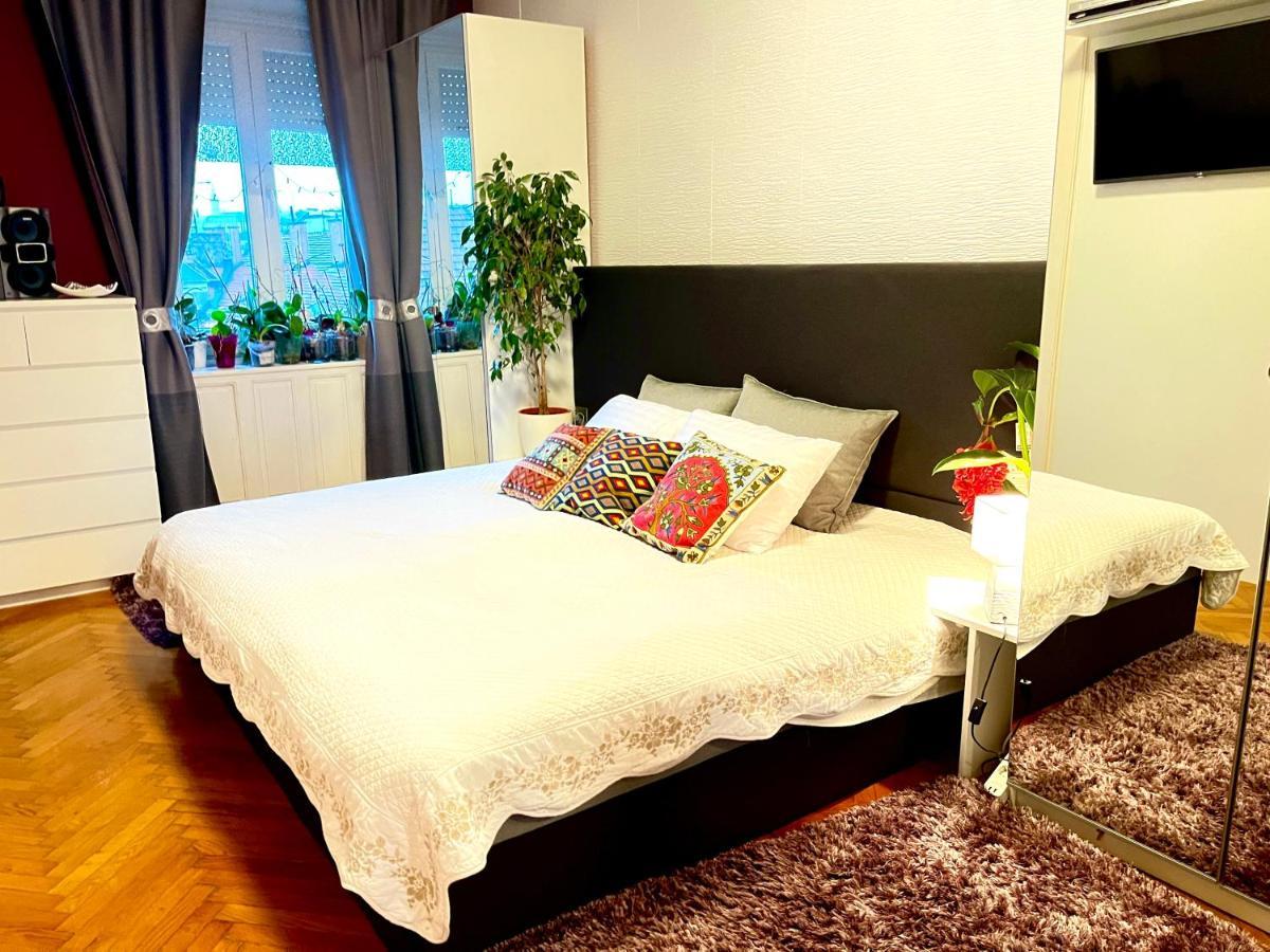布达佩斯Margaret Bridge Cosy Flat公寓 外观 照片